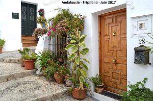 560 - Frigiliana